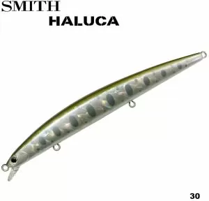 Smith Haluca 145S