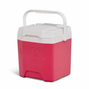 Igloo Quantum 12 Watermelon