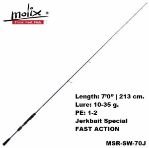 Molix Skirmjan Evo Spinning 7'0  2.13m.10-35gr. - MSR-SW-70J