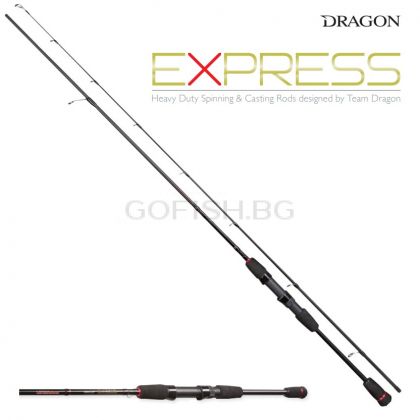 Dragon Express Spinn 