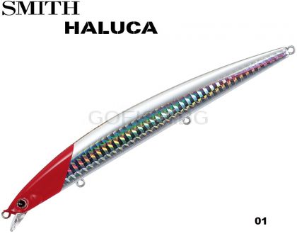Smith Haluca 145 S
