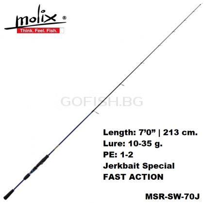 Molix Skirmjan Evo Spinning 7'0  2.13m.10-35gr. - MSR-SW-70J