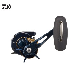 DAIWA 25 Saltiga IC 100/300