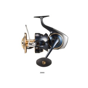 DAIWA 25 SALTIGA